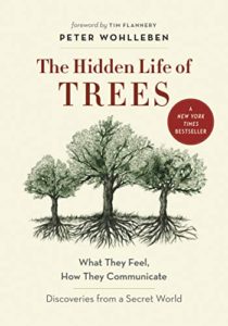 The Hidden Life of Trees