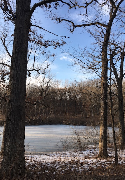 Icy lake in the woods