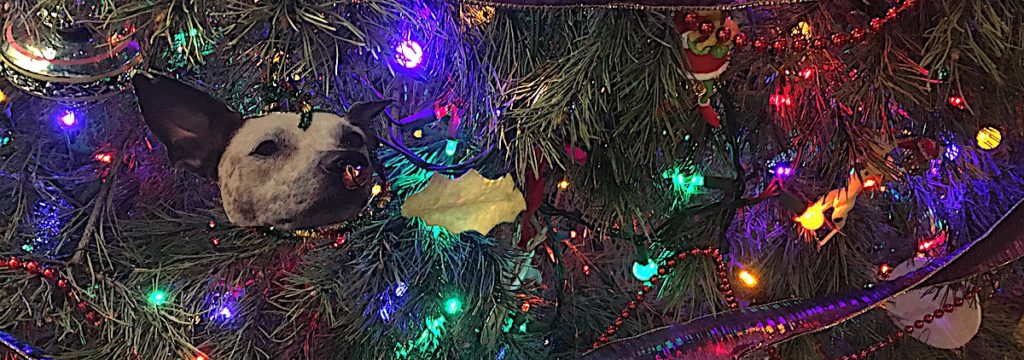 Christmas tree with homemade cattle dog ornament