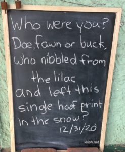 #frontstooppoetry by Kim Kishbaugh
Who were you? / Doe, fawn or buck / who nibbled from the lilac / and left this / single hoof print / in the snow? (Dec. 31, 2020)