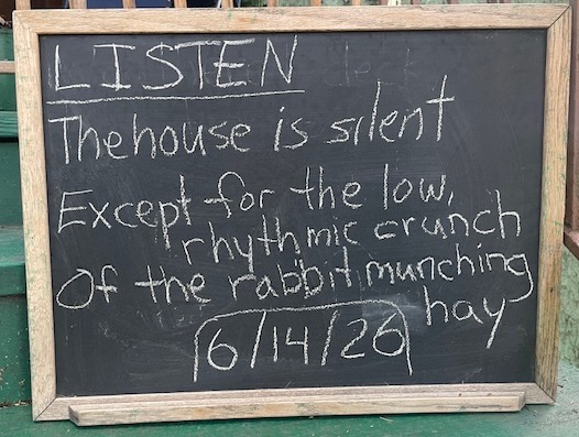 LISTEN
The house is silent / Except for the low, rhythmic crunch / Of the rabbit munching hay
